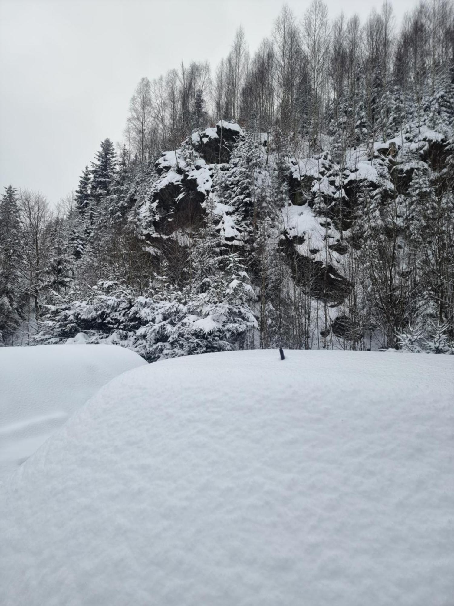 Roubenka Mlyn U Skaly Destne V Orlickych Horach Volne Terminy 5 Bytu Exterior photo